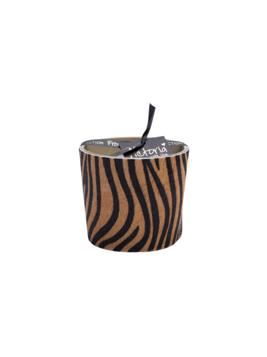 HAIRY ZEBRA BROWN - Image 6