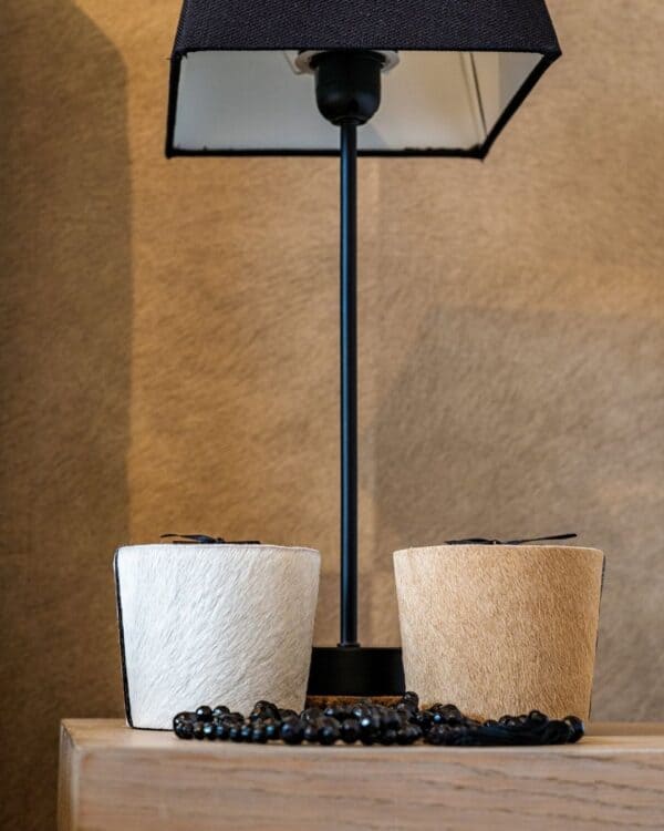 HAIRY LIGHT BROWN & HAIRY WHITE