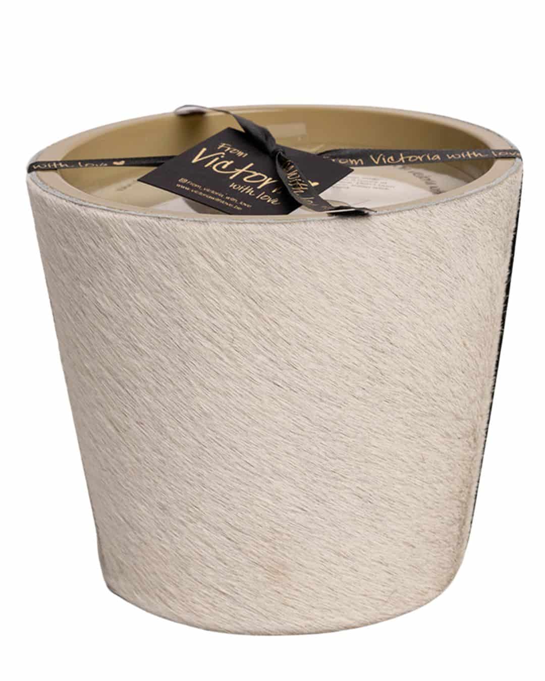 HAIRY WHITE - Image 8